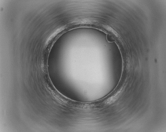 X0000070360922200606161248