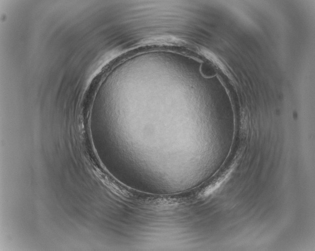 X0000070360923200606161248