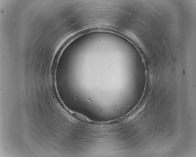 X0000070360924200606161248