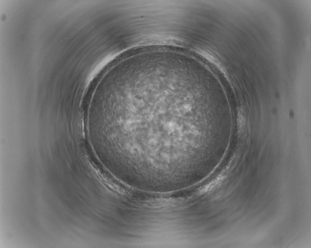 X0000070360925200606161248