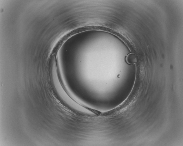 X0000070360926200606161248