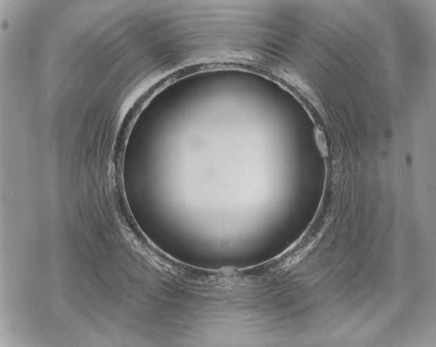 X0000070360928200606161248