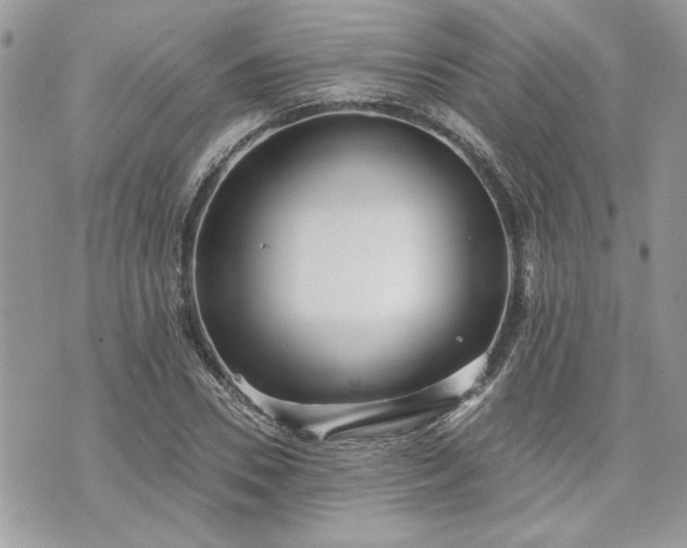 X0000070360930200606161248