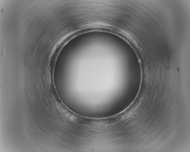 X0000070360931200606161248