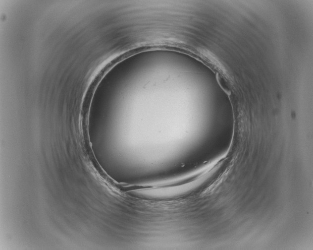 X0000070360932200606161248