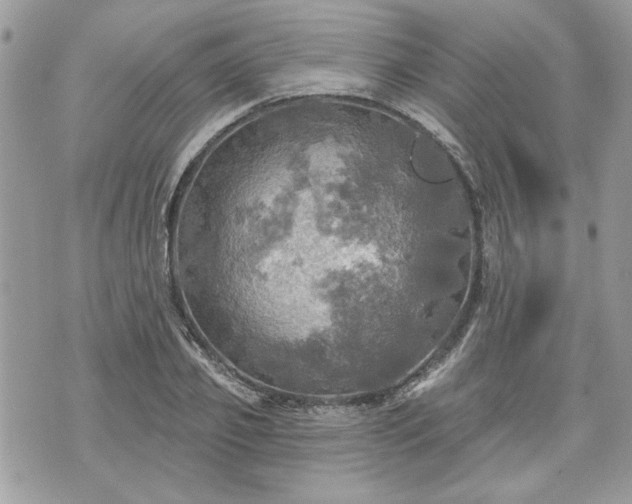 X0000070360933200606161248