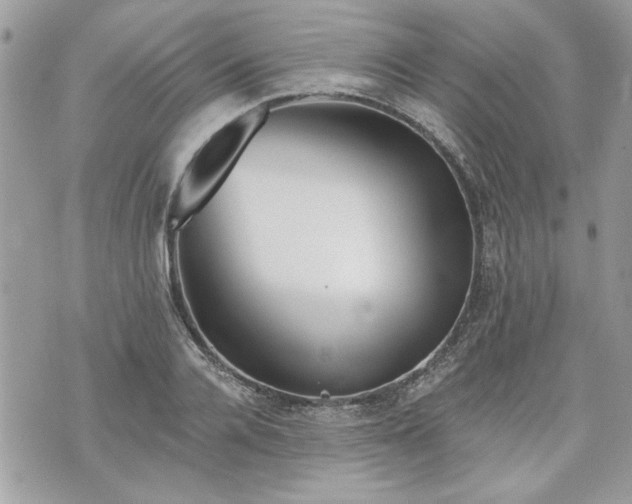 X0000070360936200606161248