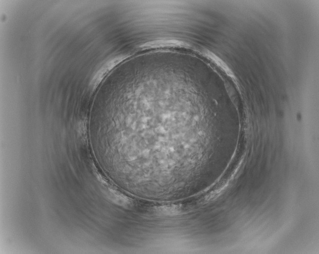 X0000070360937200606161248