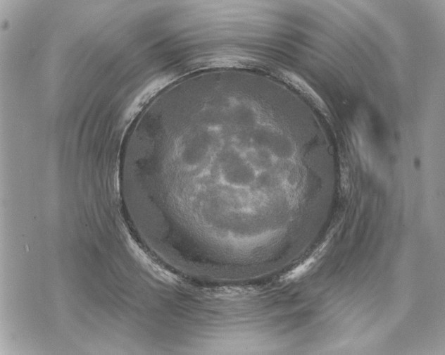 X0000070360938200606161248