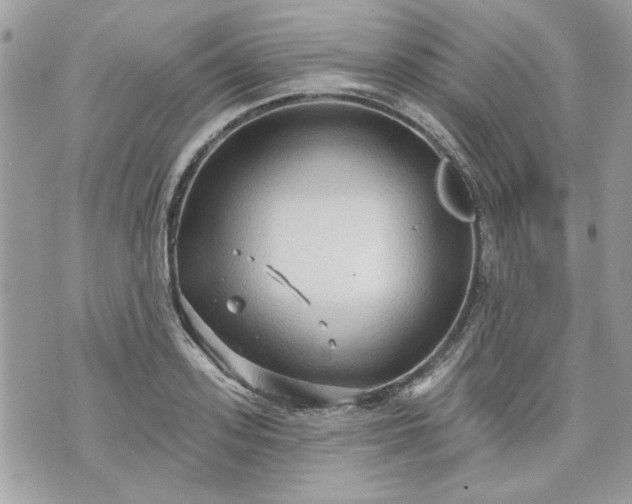 X0000070360939200606161248