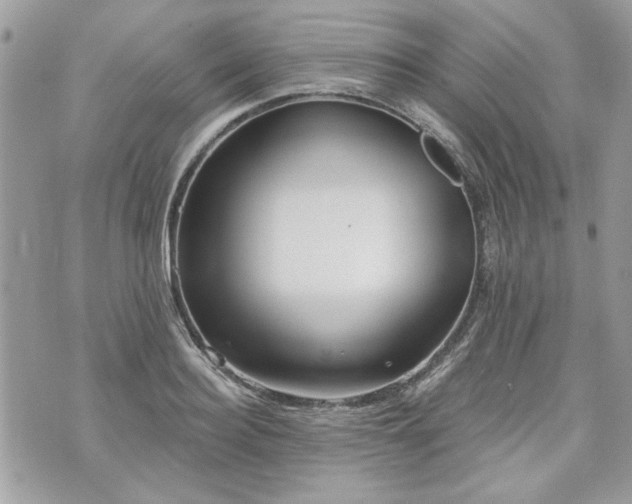 X0000070360940200606161248