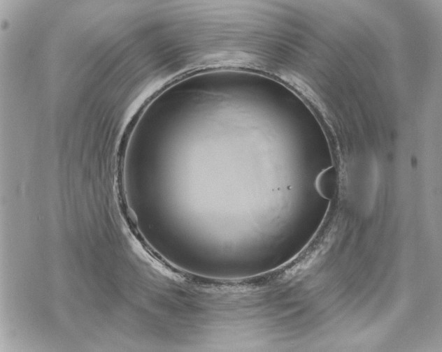 X0000070360941200606161248