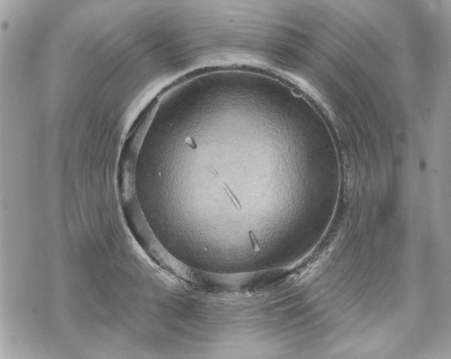 X0000070360943200606161248