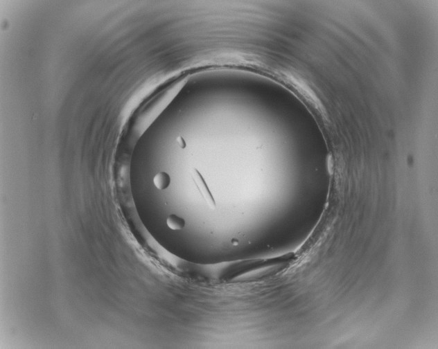 X0000070360944200606161248