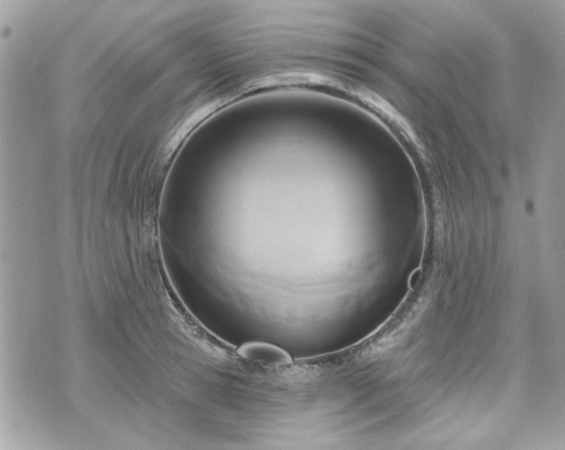 X0000070360945200606161248