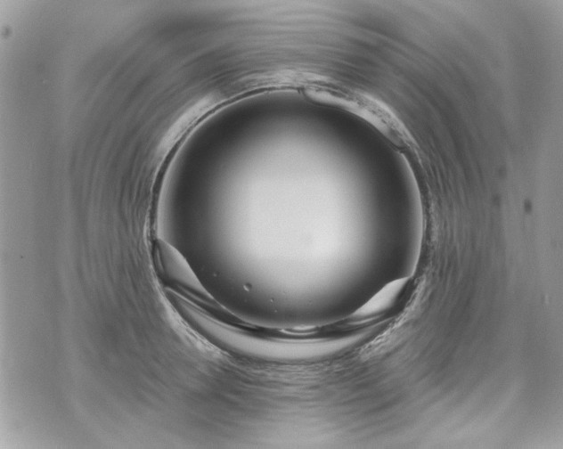 X0000070360946200606161248