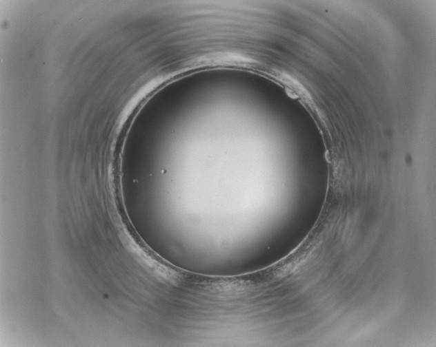 X0000070360947200606161248