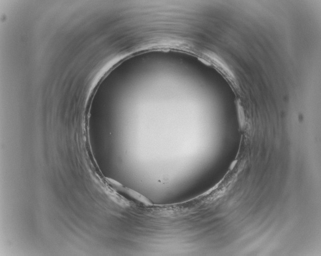 X0000070360948200606161248