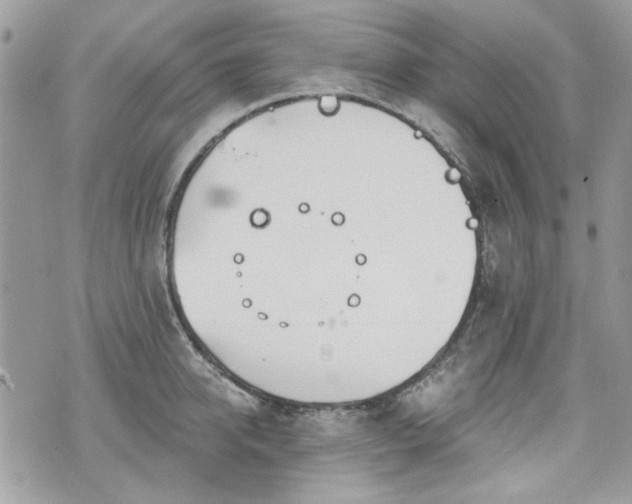 X0000070360950200606161248