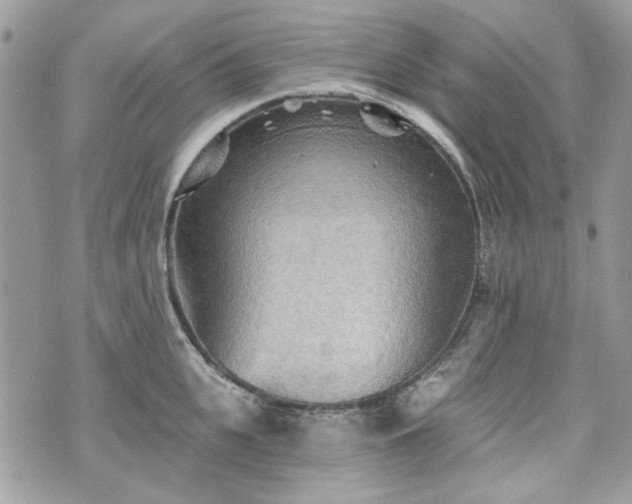 X0000070360951200606161248