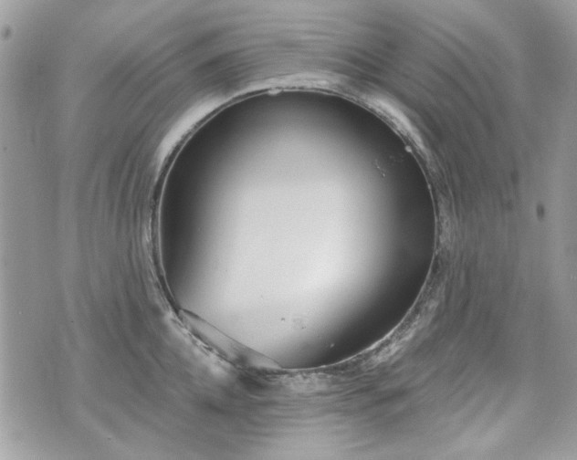 X0000070360952200606161248