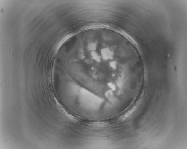 X0000070360953200606161248