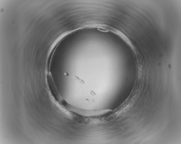 X0000070360955200606161248