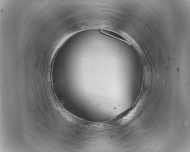 X0000070360956200606161248