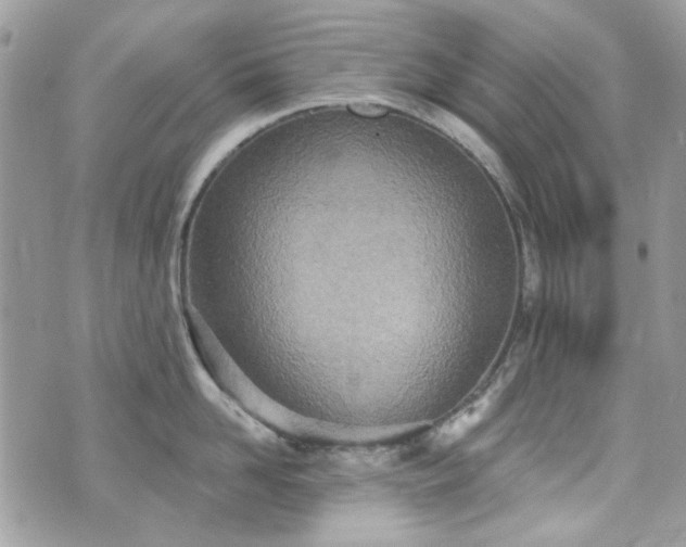 X0000070360958200606161248