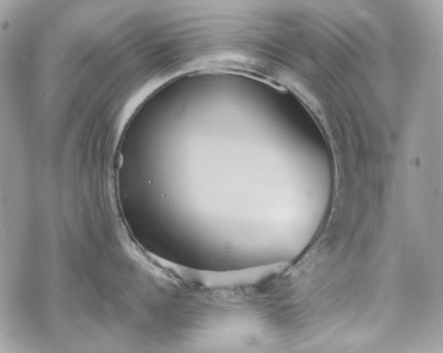 X0000070360960200606161248