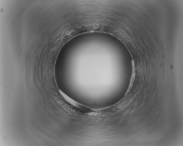 X0000070360961200606161247