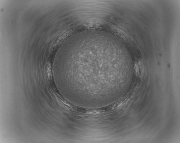 X0000070360963200606161247