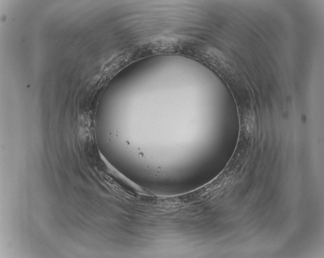 X0000070360964200606161247