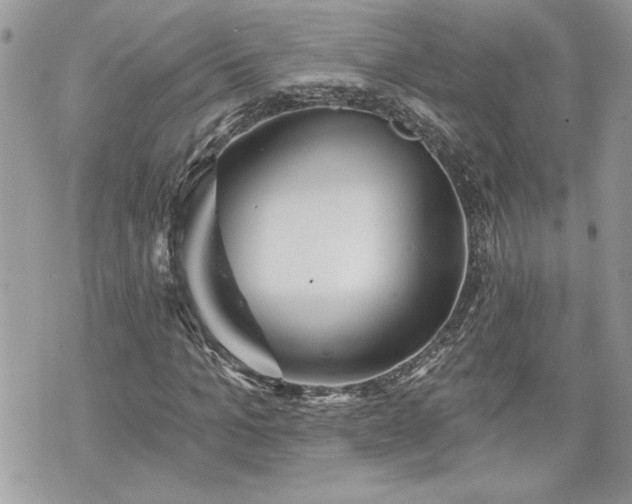 X0000070360965200606161247