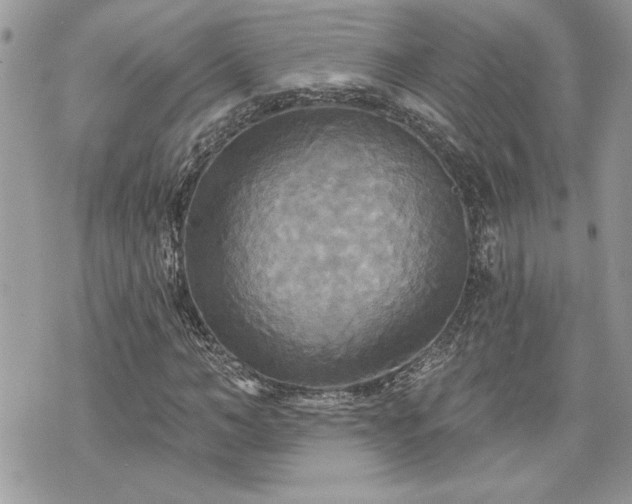 X0000070360966200606161247