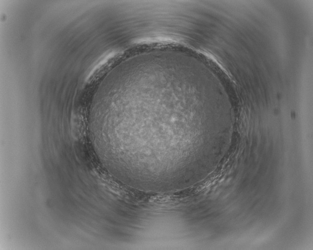 X0000070360967200606161247