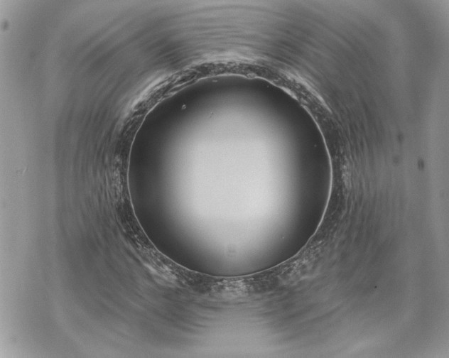 X0000070360968200606161247