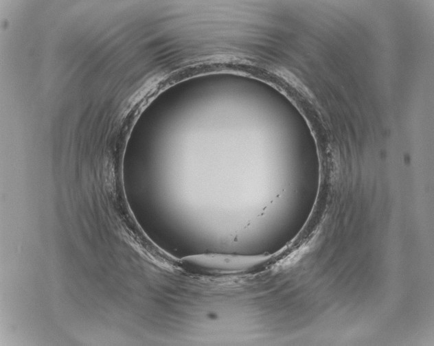 X0000070360969200606161247