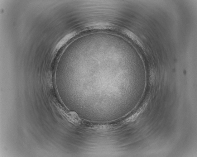 X0000070360970200606161247