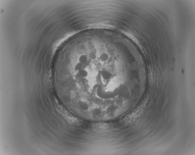 X0000070360971200606161247