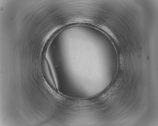 X0000070360972200606161247