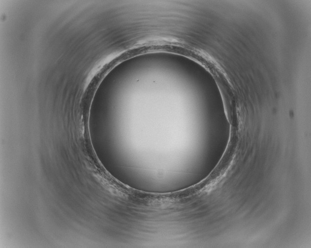 X0000070360973200606161247