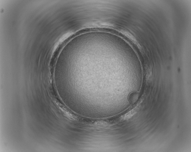 X0000070360974200606161247