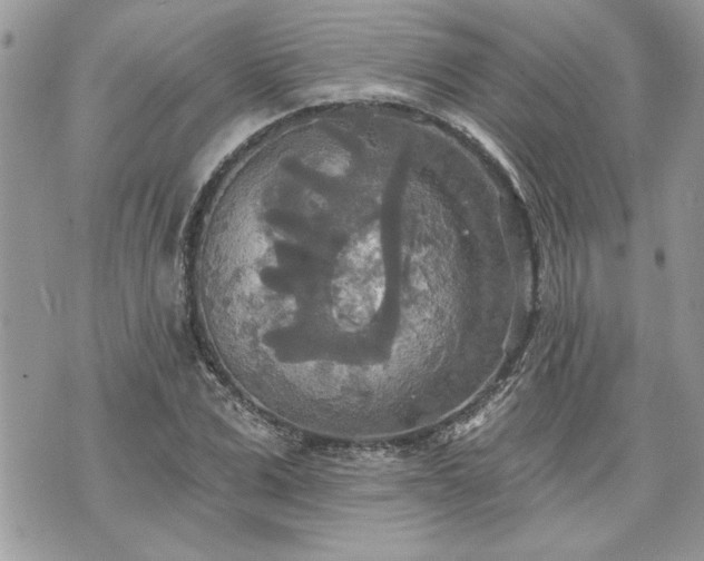 X0000070360975200606161247