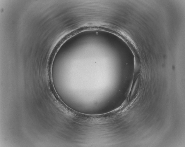 X0000070360976200606161247