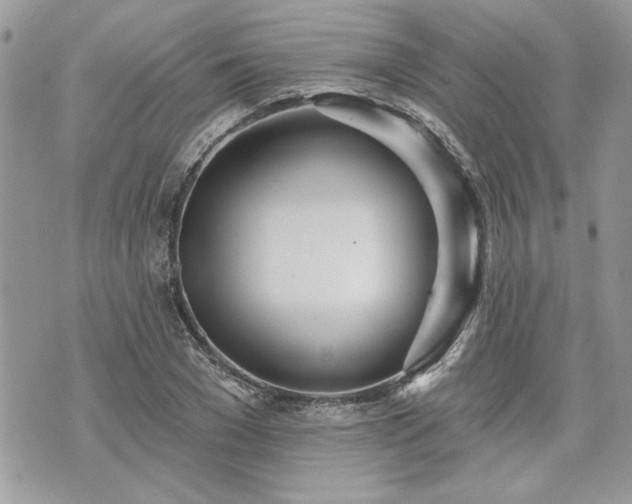 X0000070360977200606161247