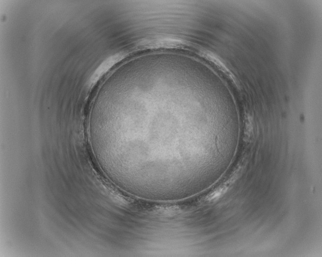 X0000070360978200606161247