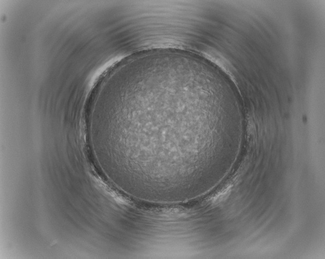 X0000070360979200606161247