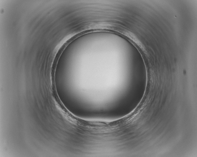 X0000070360980200606161247