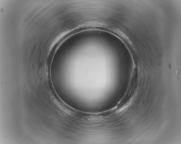 X0000070360981200606161247